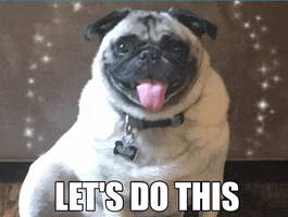 Dogs GIF