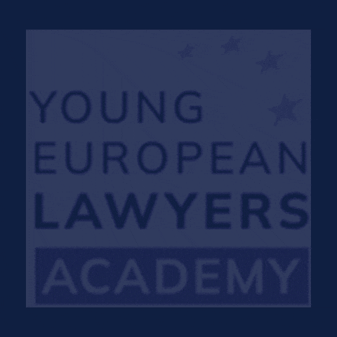 Eu Law Sticker GIF by Eurpean Academy of law