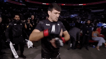 Demian Maia Sport GIF by UFC