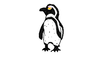 Penguin Sticker