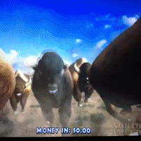 200.gif?cid=fc005b087df1b68a6ba87a8c10c92a3b4a00fb30636ce0a4&rid=200.gif&ct=g