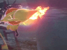 Pokemon Poke GIF