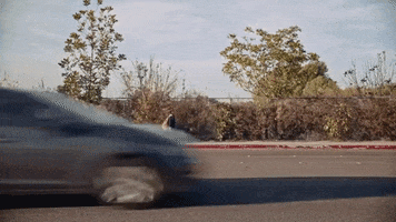 Walking Places GIF by St. Panther