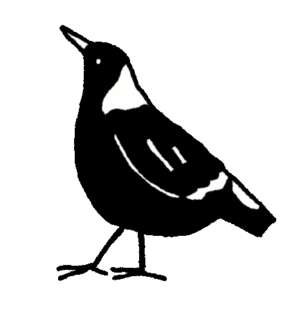 Bird Australia Sticker by あないすみーやそこ