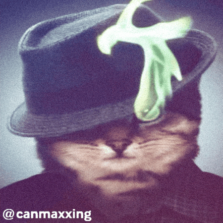 Canmaxxing GIF
