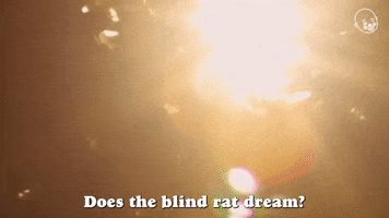 Dream Mouse GIF by Eternal Family