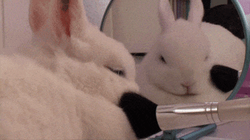 makeup bunny GIF
