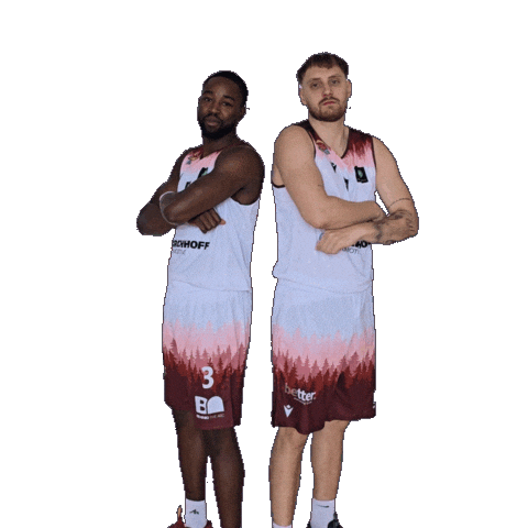 Basketball Winasone Sticker by Iserlohn Kangaroos