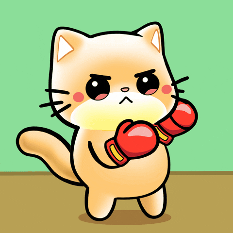 Fight Cat GIF by Mochimons