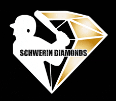 Diamonds Snd GIF by SchwerinDiamonds