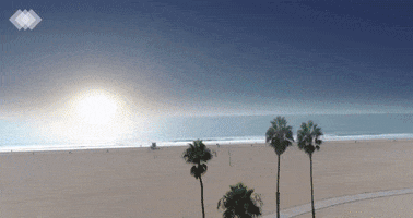 Santa Monica Realtor GIF by Silicon Beach Homes