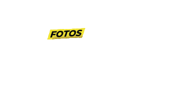 Focora Sticker by Foco Radical