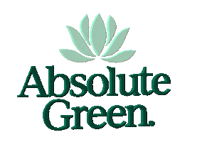 Cleaning Smell Sticker by Absolute Green