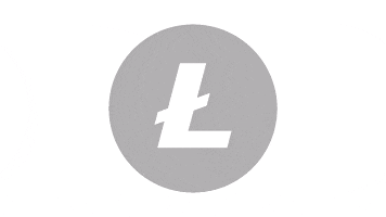 Litecoin Ltc GIF by changeangel