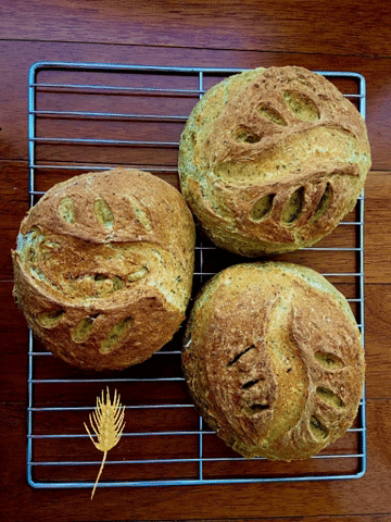 AlHorno Bakery GIF