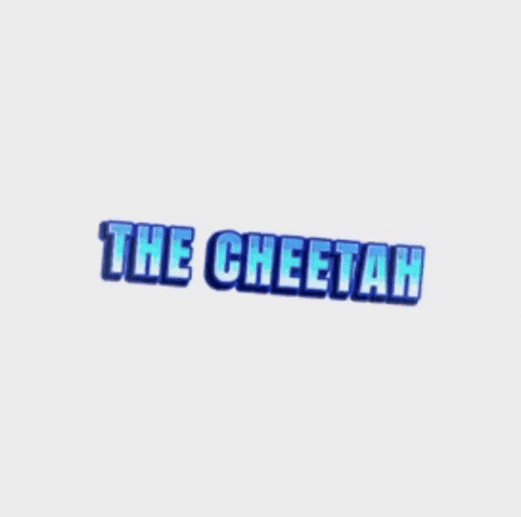 Team Elite Cheetah GIF