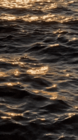 Mood GIF