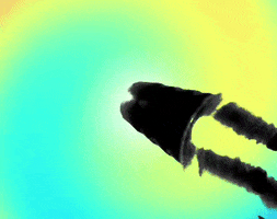 Loca GIF