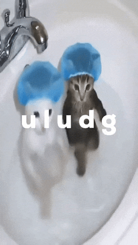 Dancing Cat GIF