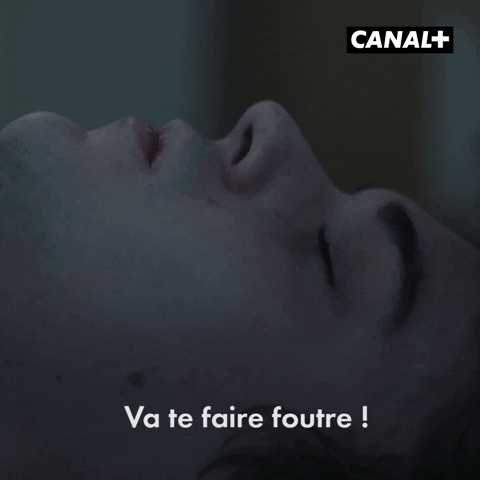 Fuck You Canal Plus GIF by CANAL+