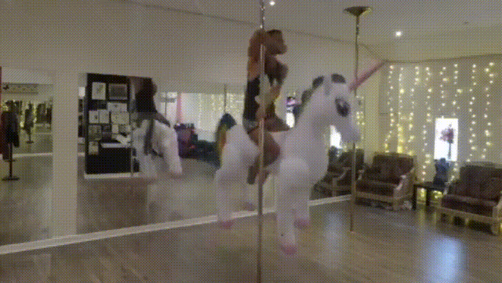 giphy-downsized-large.gif