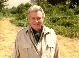 Video gif. An old man out in the wilderness wears a safari outfit. He looks at us and smiles as he says, “We need to look, but also see.”
