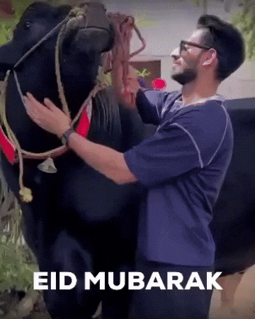 Saif Ali Khan Eid Mubarak GIF