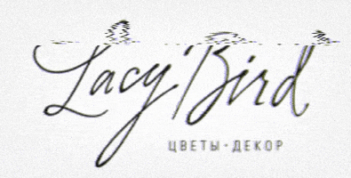lacybird GIF