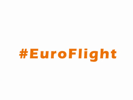 euroflight euroflight GIF