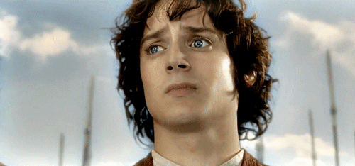 Giphy - The Lord Of The Rings Request GIF by Maudit