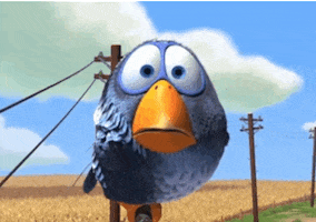 Shocked For The Birds GIF by Disney Pixar