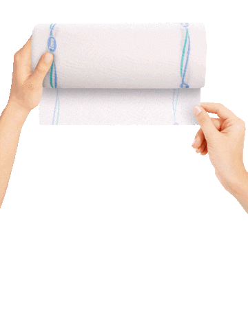 Zewa Wisch & Weg Sticker