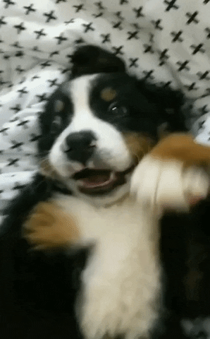 Agrária GIF