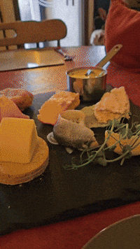 campervan holiday solo nc500