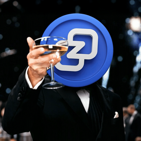 Crypto Privacy GIF by Zano Project