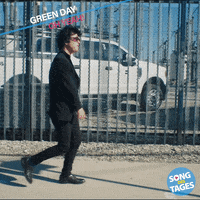 GIF by Song des Tages