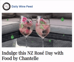 troywakelin wine rose newzealand roseday GIF