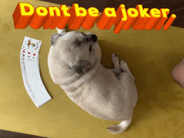 Energia Fitness GIF