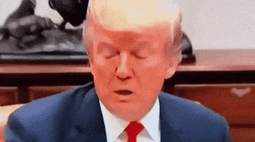 Donald Trump GIF by moodman