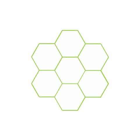 Raizen Sticker by Jornada Cultivar