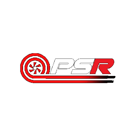 Pro Speed Racing Sticker