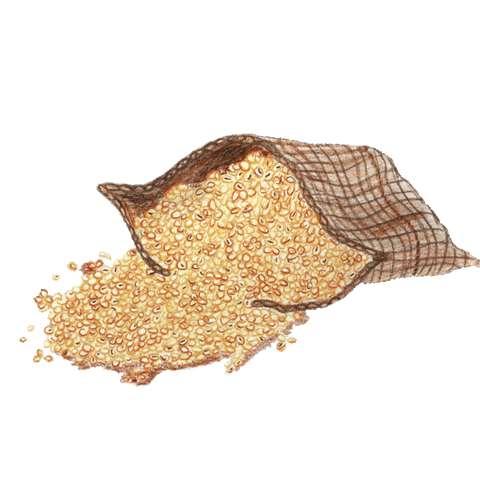 Vegan Protein Sticker by Casa Natural