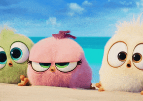 Beach Are You Kidding Me GIF by Angry Birds