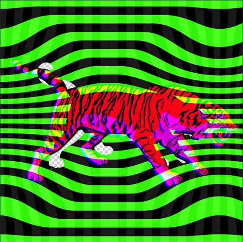 Acid GIF