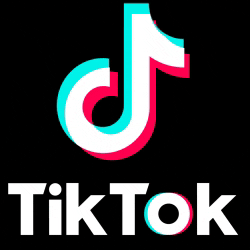 Logo TikTok gif