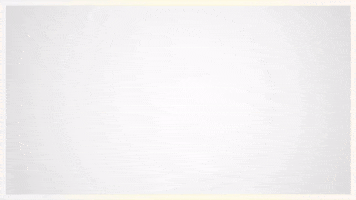 Ruitenheer GIF