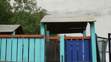 Agapedia GIF