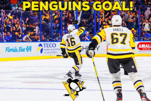 Lets Go Penguins Pittsburgh Penguins Nhl GIF