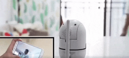 Animated GIF