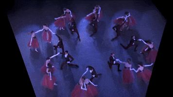 dance la valse GIF by New York City Ballet